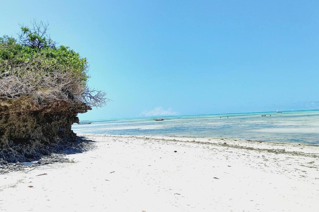 Jambo Jambiani Beach Villa, Beautiful Private Villa At 2 Minutes From The Beach 外观 照片